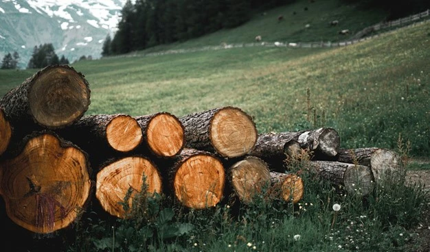 6-2 6-2